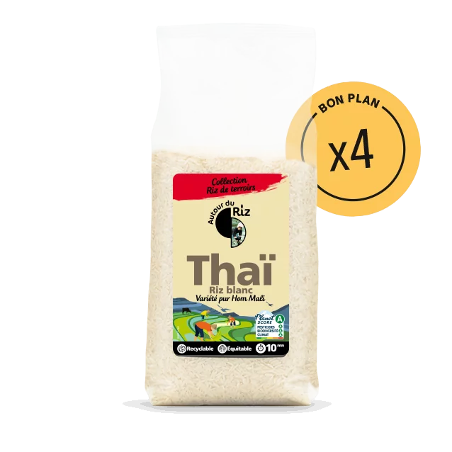 Riz thaï blanc bio équitable 4 x 2 kg