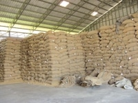 Unité de stockage des riz