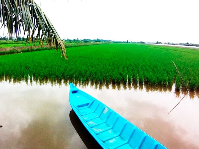 Carrousel paysage vietnam