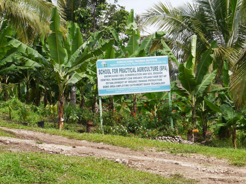 Sirop de coco agriculture