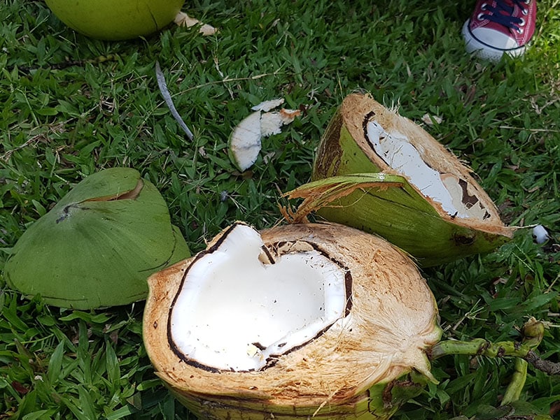 Aux Philippines, des noix de coco zéro gaspi !